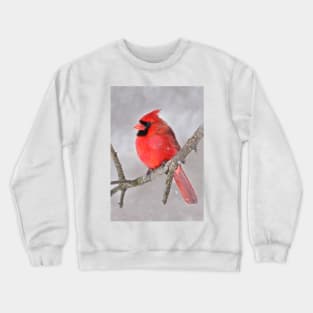 Northern Cardinal Crewneck Sweatshirt